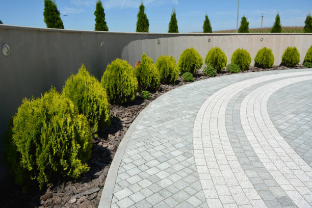 Best Residential Driveway Paver Services  in Hazel Park, MI